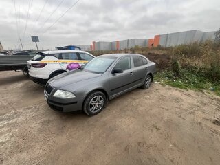2005 Skoda Octavia II (A5), серый, 350000 рублей, вид 4