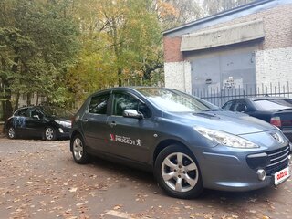 2006 Peugeot 307 I Рестайлинг, серый, 400000 рублей, вид 4