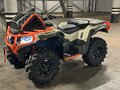 2025 Loncin XWolf 1000 Mud, бежевый - вид 3