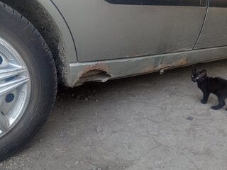 2004 Ford Focus I Рестайлинг, серый, 210000 рублей, вид 4