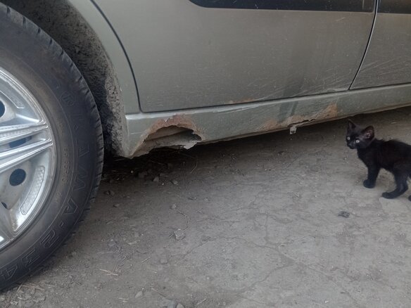 2004 Ford Focus I Рестайлинг, серый, 210000 рублей - вид 3