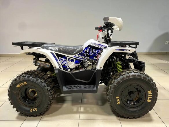 2026 Motoland ATV 150 Wild, чёрный, 145100 рублей