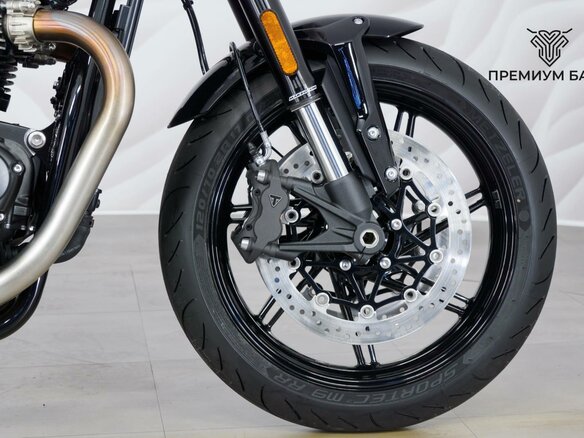 2026 Triumph Speed Twin, серебристый, 1599000 рублей - вид 10