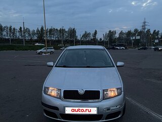 2005 Skoda Fabia I Рестайлинг, серый, 250000 рублей, вид 1