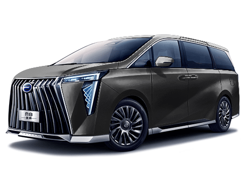 2026 GAC M8, чёрный, 6689250 рублей