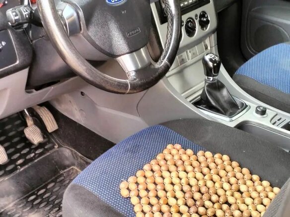 2008 Ford Focus II, синий - вид 5