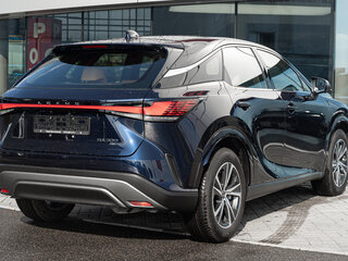 2025 Lexus RX 300 V, синий, 8490000 рублей, вид 5