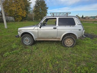 2002 Lada (ВАЗ) 2121 (4x4) I Рестайлинг, серебристый, 170000 рублей, вид 3