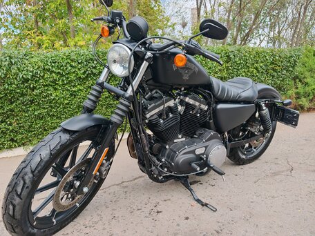 2017 Harley-Davidson Sportster 883, чёрный, 650000 рублей, вид 1