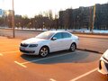 2014 Skoda Octavia III (A7), белый, 1300000 рублей - вид 9