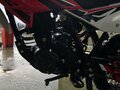 2025 Progasi Smart 150, красный, 98000 рублей - вид 6