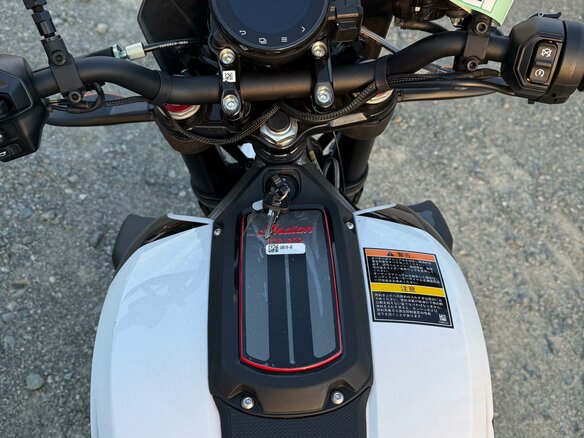 2023 Indian FTR 1200, белый, 1099000 рублей - вид 23