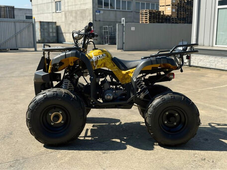 2026 Motax Grizlik Super Lux, жёлтый, 105600 рублей, вид 2