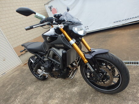 2014 Yamaha MT-09 (FZ-09), фиолетовый, 670000 рублей, вид 1