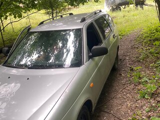 2009 Lada (ВАЗ) Priora I, серебристый, 130000 рублей, вид 1