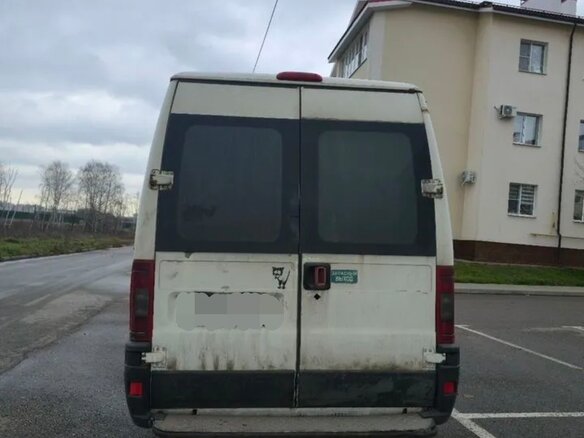 2010 Fiat Professional Ducato, белый, 500000 рублей - вид 3