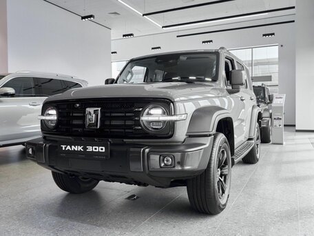 Tank 300 I