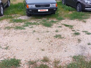1987 Audi 100 III (C3), серый, 270000 рублей, вид 1
