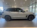 2025 BMW X5 Long 40Li IV (G05/G18) Рестайлинг, серый, 15000000 рублей - вид 7