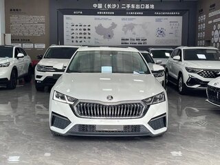 2023 Skoda Octavia IV (A8), белый, 2200000 рублей, вид 2