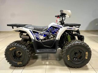 2026 Motoland ATV 150 Wild, чёрный, 145100 рублей, вид 1