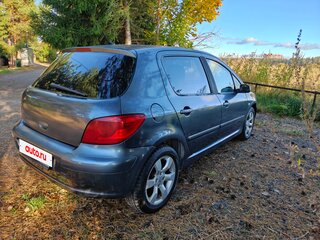 2006 Peugeot 307 I Рестайлинг, серый, 390000 рублей, вид 5
