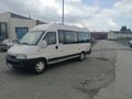 2007 Fiat Professional Ducato, белый, 500000 рублей - вид 2