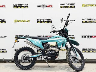 2026 Stels 250 Enduro, зелёный, 191000 рублей, вид 5