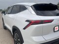 2024 Jetour Dashing I, белый, 2050000 рублей - вид 11