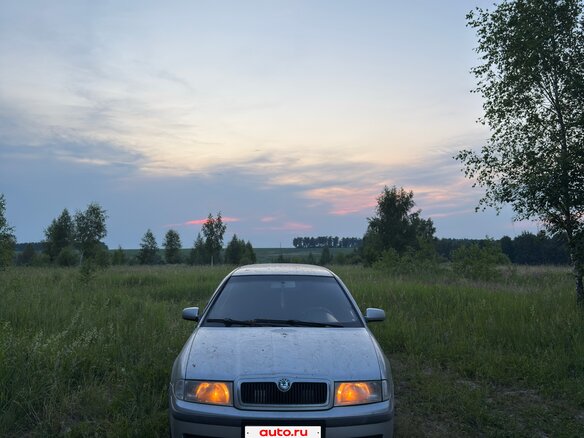 2002 Skoda Octavia I (A4) Рестайлинг, серебристый, 280000 рублей - вид 6