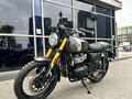 2026 Royal Enfield Bear 650, золотистый, 737000 рублей - вид 4