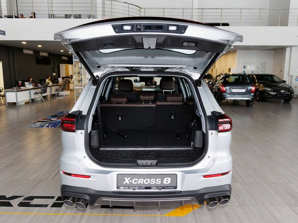 2024 Xcite X-Cross 8, серебристый, 3359000 рублей - вид 33