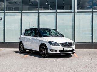 2013 Skoda Fabia II Рестайлинг, белый, 670000 рублей, вид 5