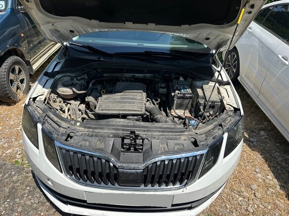 2019 Skoda Octavia III (A7) Рестайлинг, белый - вид 11