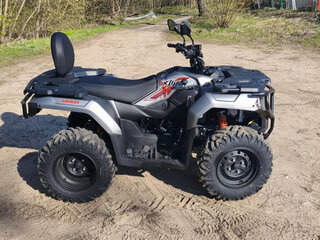 2026 Loncin XWolf 300 Max, серый, 485000 рублей, вид 3