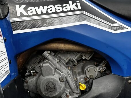 2018 Kawasaki KVF 750 Brute Force, синий, 700000 рублей, вид 2