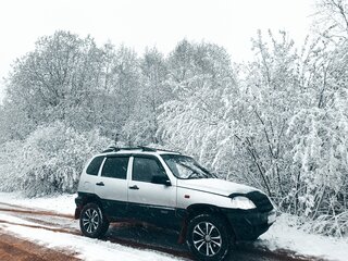 2006 Chevrolet Niva I, серебристый, 410000 рублей, вид 1