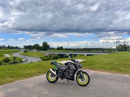 2025 Yamasaki Scorpion, серый, 170000 рублей, вид 4