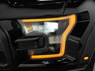 2019 Ford F-150 Raptor XIII Рестайлинг, чёрный, 8490200 рублей, вид 5