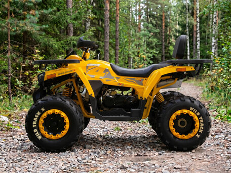 2026 Motoland Wild Track 200, жёлтый, 204000 рублей, вид 2