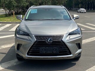 2021 Lexus NX 200 I Рестайлинг, серебристый, 2470000 рублей, вид 2