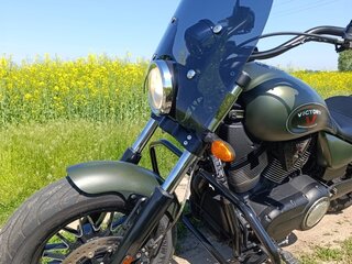 2015 Victory Gunner, зелёный, 620000 рублей, вид 4