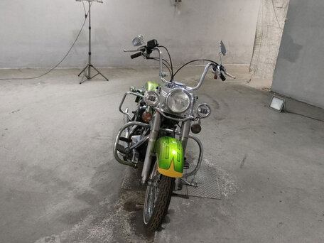 1989 Harley-Davidson Softail Custom, зелёный, 598000 рублей, вид 3