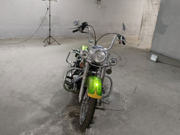 1989 Harley-Davidson Softail Custom, зелёный, 598000 рублей - вид 2