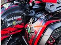 2025 Alfer VR 250, красный, 165000 рублей - вид 2