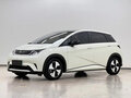 2023 BYD Dolphin 44.9 kWh I, белый, 1350000 рублей