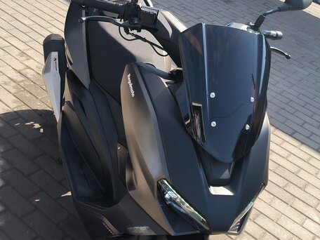 2023 Regulmoto Element 300, серый, 220000 рублей, вид 3