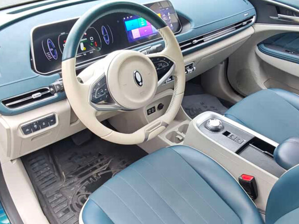 2023 Ora Good Cat 47.8 kWh I, синий, 1730000 рублей - вид 11