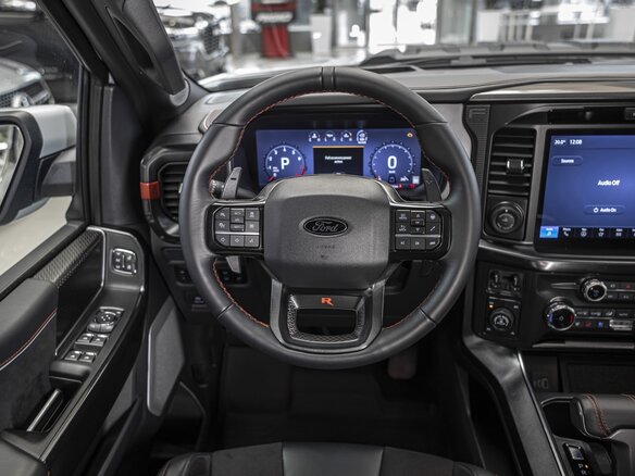 2025 Ford F-150 Raptor XIV Рестайлинг, серый - вид 33
