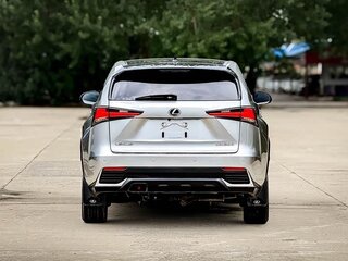 2020 Lexus NX 200 I Рестайлинг, серый, 2550000 рублей, вид 5